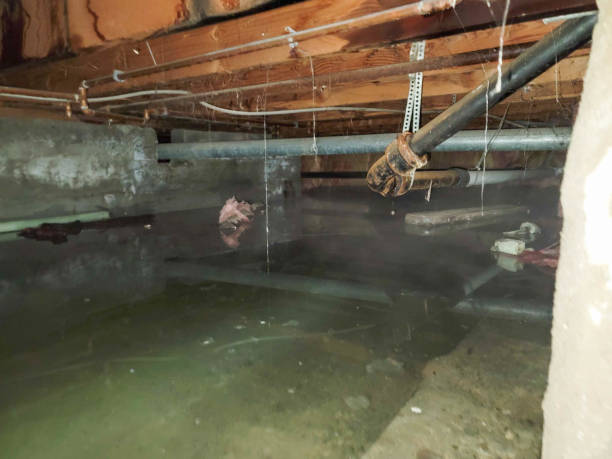 Best Ceiling water damage repair  in Quincy, IL