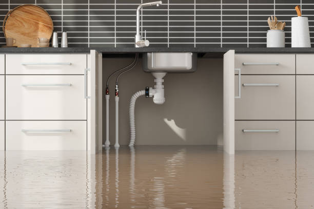 Best Flooded house restoration  in Quincy, IL