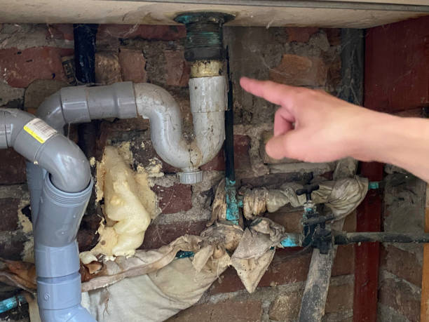 Best Water damage restoration company  in Quincy, IL