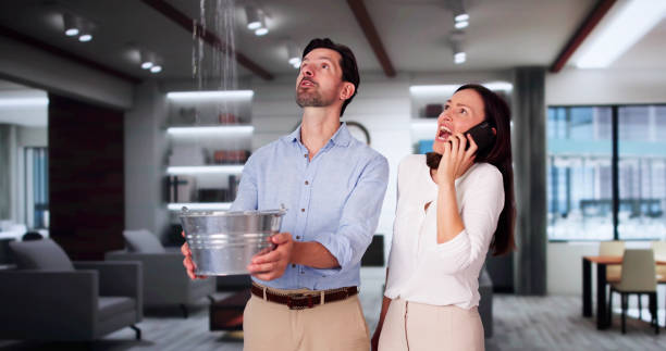 Best Local water damage restoration  in Quincy, IL