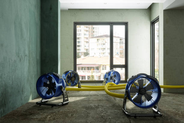 Best 24/7 water damage repair  in Quincy, IL